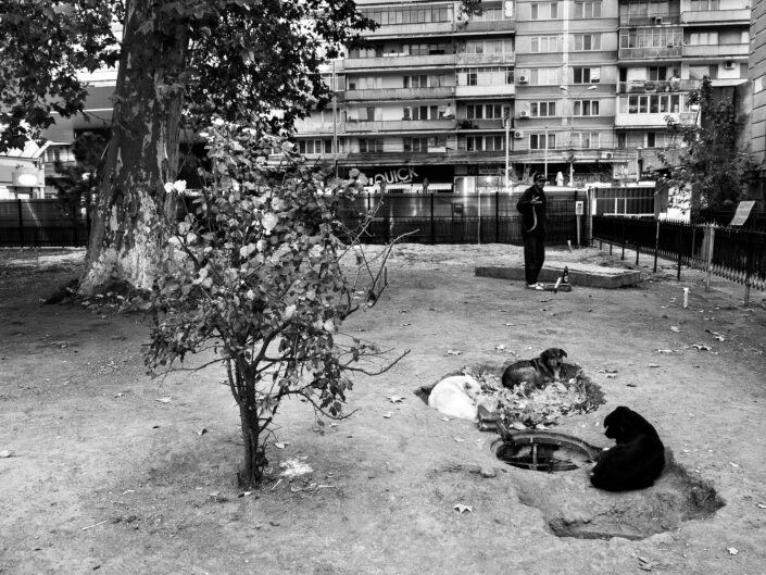 AUROLAC • I Ragazzi delle Fogne di Bucarest